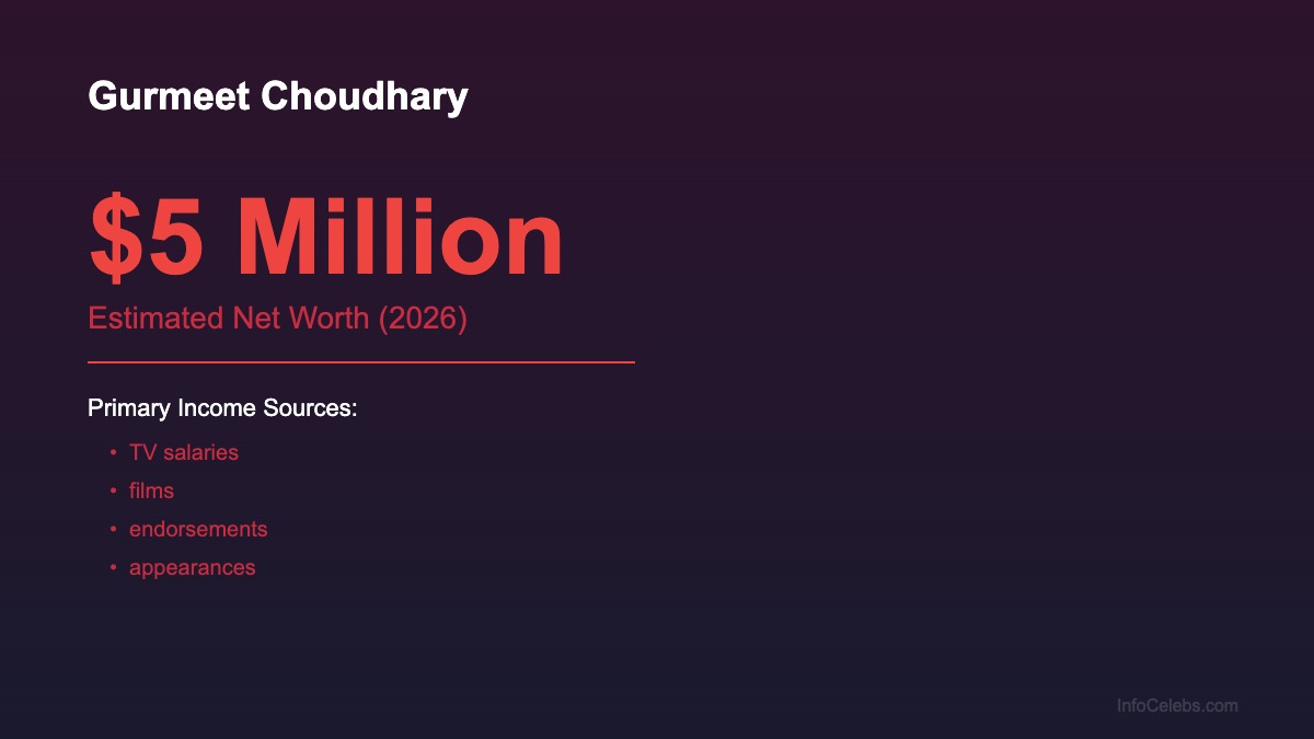 Gurmeet Choudhary net worth summary