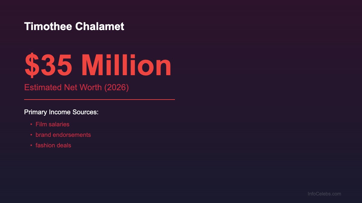 Timothee Chalamet net worth summary