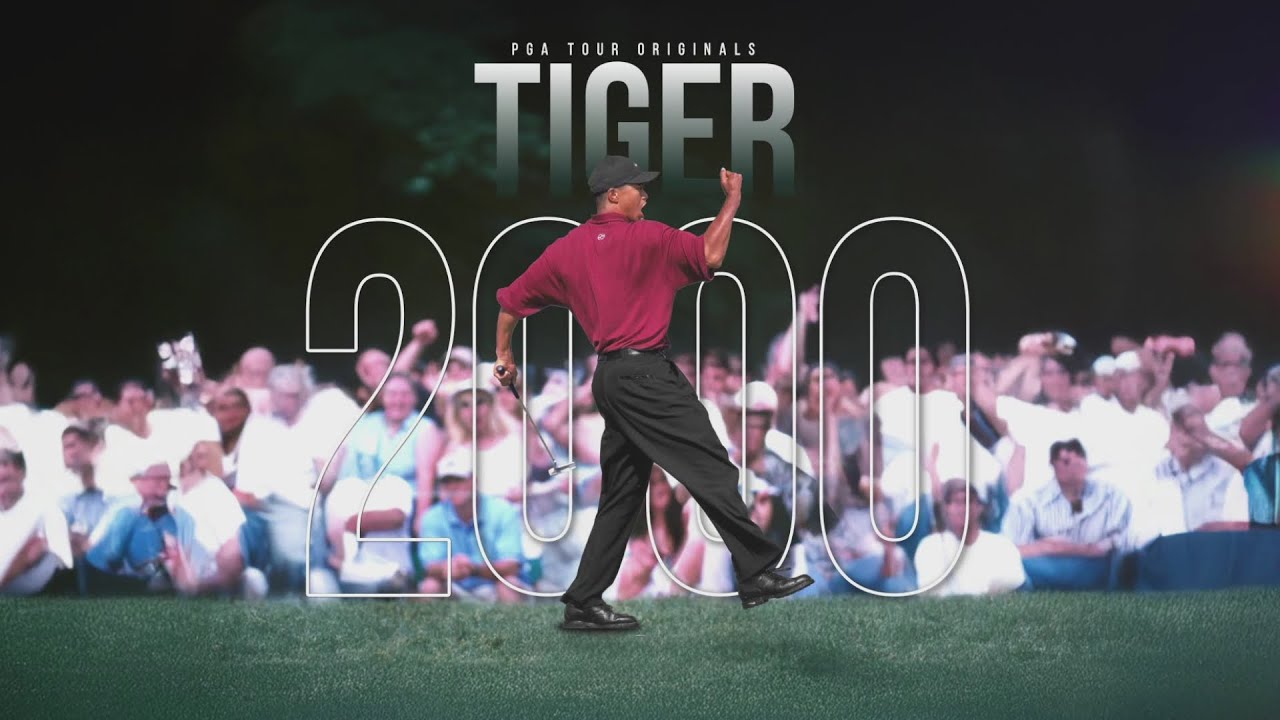 Tiger Woods best season in professional golf