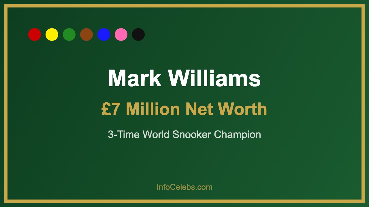 Mark Williams net worth 2026 infographic