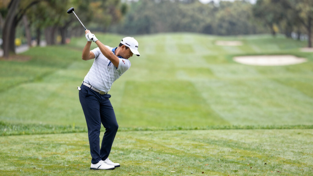 Rory McIlroy professional golf swing PGA Tour major championship