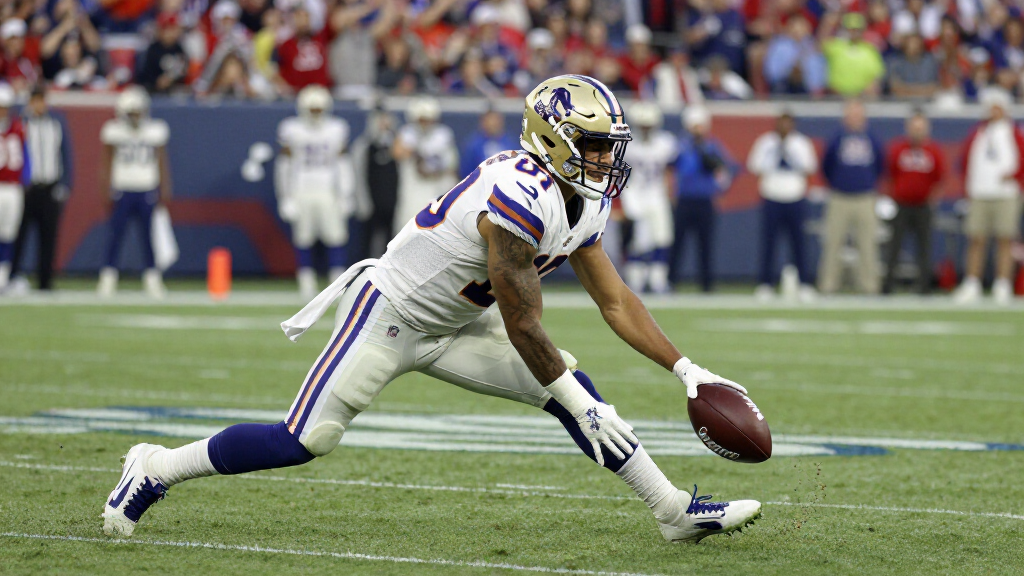 NFL wide receiver making a spectacular one-handed catch